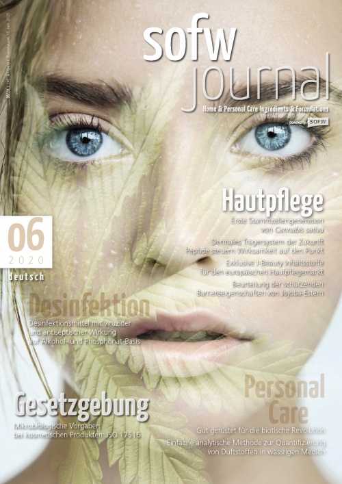 sofw_2006_ger_cover