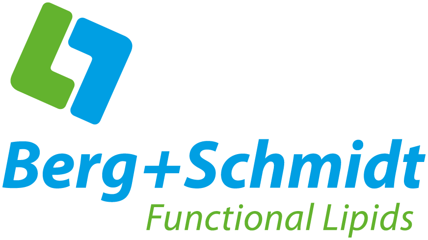 BergSchmidt Logo