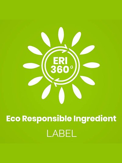ERI 360 logo